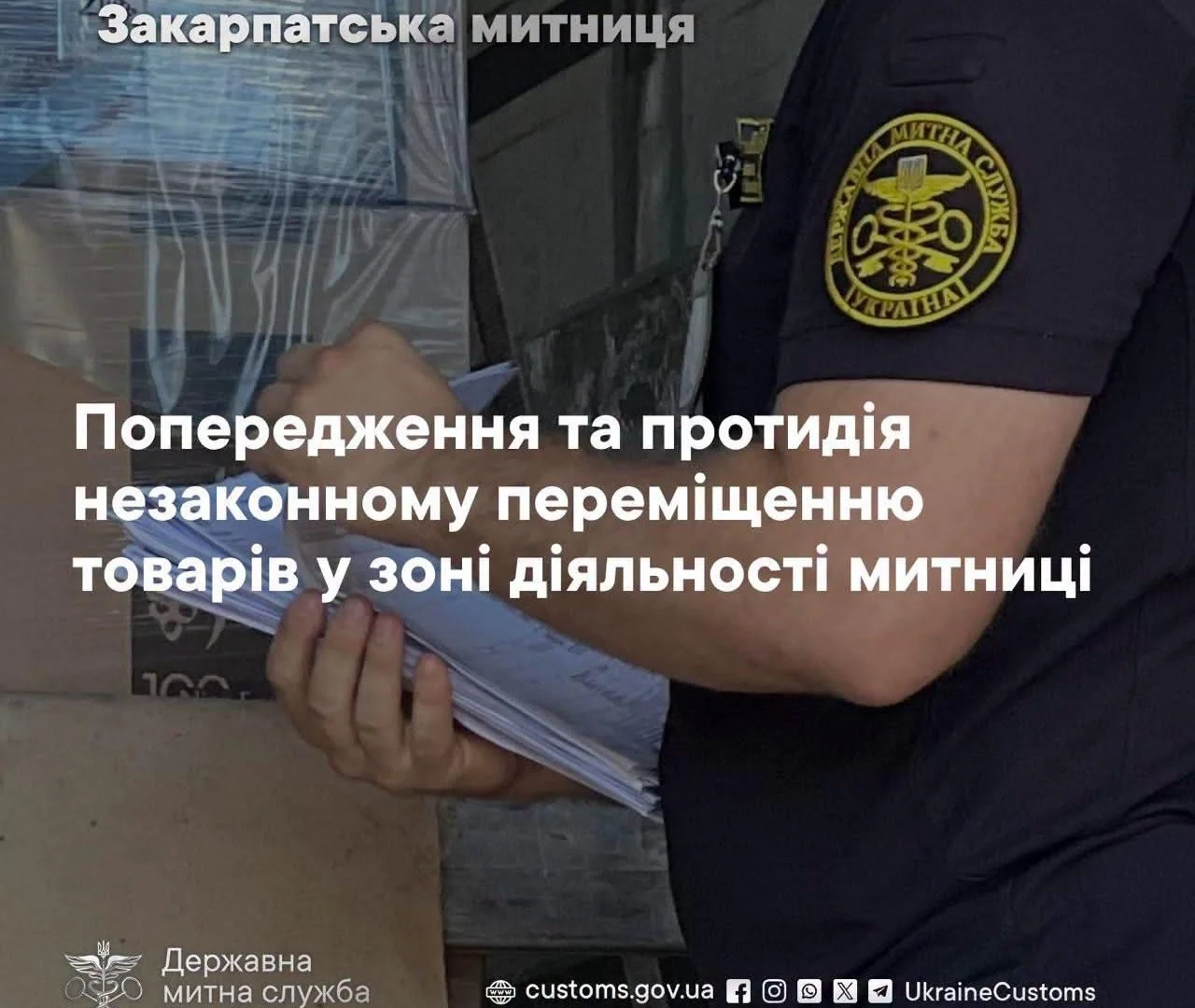 Митник у формі перевіряє стос документів біля запечатаних коробок вантажу